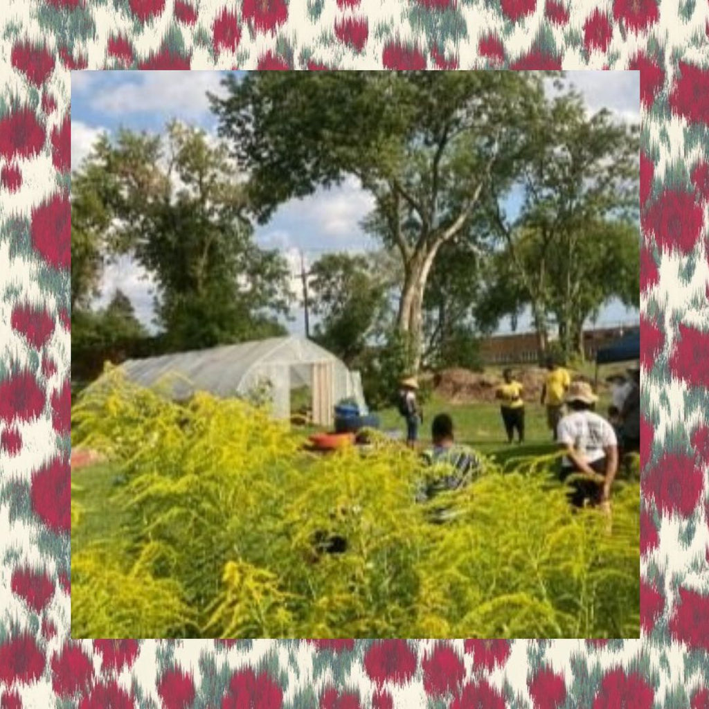 Hope for Flowers Sustainability Workshop teaches Detroiters the basics of community gardening